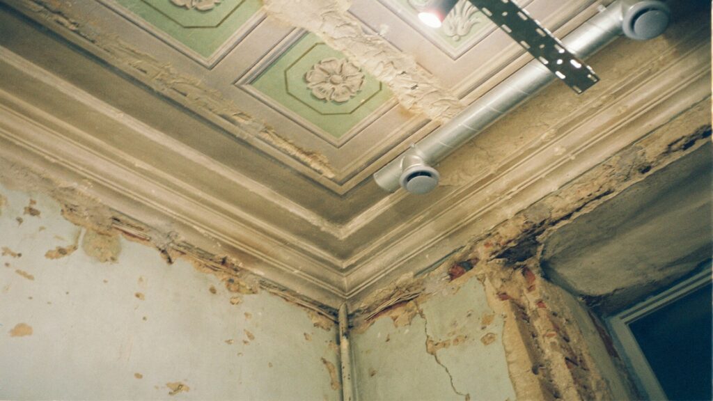 9 Signs Of Black Mold In House (You Should Fix These Urgently)